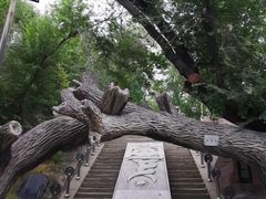 -水磨沟公园