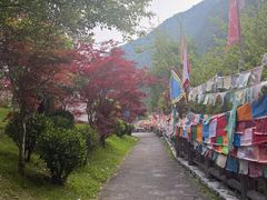 -古尔沟华美达温泉度假酒店