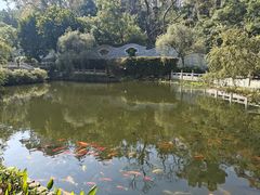 -国恩寺