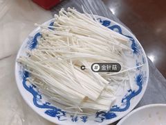 -鑫龙火锅城(环山路店)