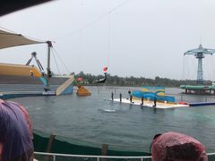 -秦皇岛乐岛海洋王国