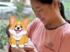 -阿福宝宝月嫂(东方医院店)