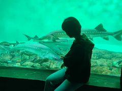 -中央电视塔旋转餐厅