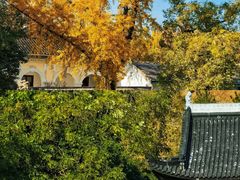 -南京中国近代史遗址博物馆(南京总统府)