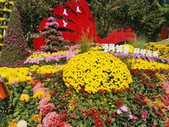 -南山植物园