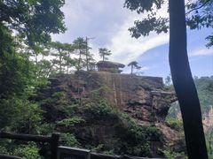 -印象鲵宴·张家界地标美食名片(溪布街店)