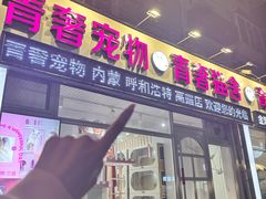 -青奢宠物·青奢猫舍