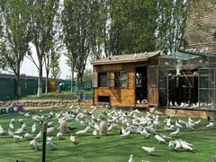 -长白岛森林公园