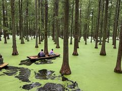 -渌洋湖湿地公园