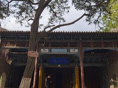 -张掖大佛寺景区