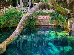-蝴蝶泉公园