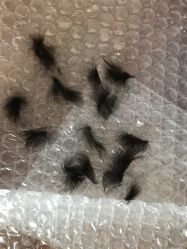 -龙文宝贝上门婴儿理发满月剃胎毛(总店)