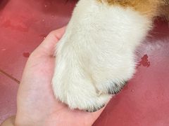 -和它·交个朋友·狗咖猫咖(爱琴海店)