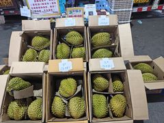 -海吉星市场