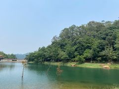 -大雁山风景区