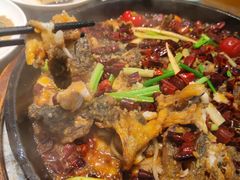 -老板恋上鱼(印象城店)