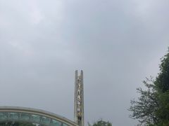 -南山植物园