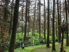 -象山森林公园