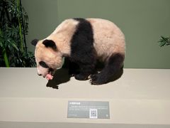 -深圳博物馆历史民俗馆