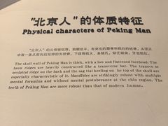 -北京周口店北京人遗址博物馆