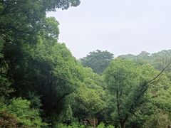 -杭州半山国家森林公园