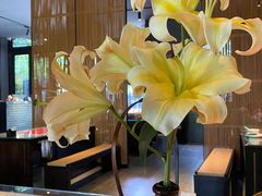 -春色如许·茶食餐厅(桃李春风店)