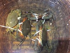 -79号渔船海鲜饭店(华强北店)