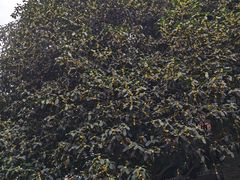 -龙潭水乡