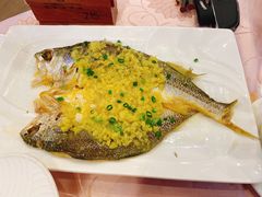 姜蓉蒸黄花鱼-新东源国际酒店·新东源食坊(沙井店)
