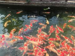 -香麒园·过桥米线·南湖雅宴
