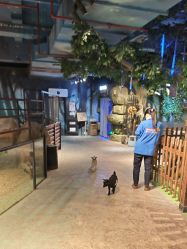 -酷嗒动物文化乐园(cutezoo西溪乐天城店)