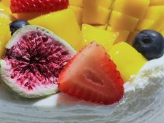 -糕小爱·动物奶油生日蛋糕定制(合肥总店)