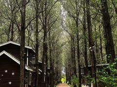 -祥源·阜阳生态乐园