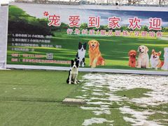 -宠物寄养训练学校