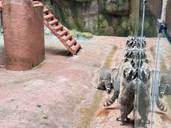 -杭州野生动物世界