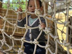-世纪飞马幼儿园(西城校区)