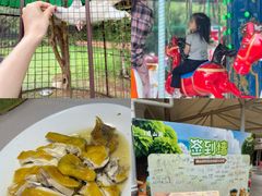 -梅州雁山湖国际花园度假区