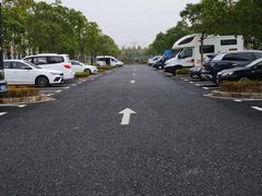 -春花秋色城市公园