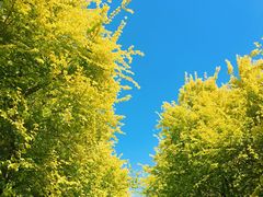 -洨河生态公园