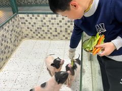 -上海大自然野生昆虫馆(东方明珠·爬宠昆虫探索中心)