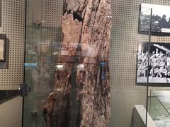 -辽沈战役纪念馆