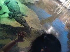 -沙沙哗啦海洋馆(华宇百花谷店)