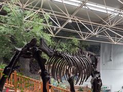 -中国第四纪冰川遗迹陈列馆