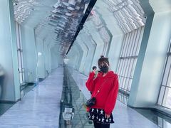 -上海环球金融中心骑迹50年环球之旅