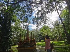 -瑞丽独树成林风景区