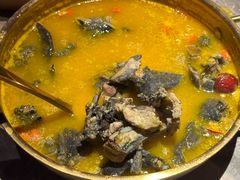 -Darling Queen·Mini·Live·House