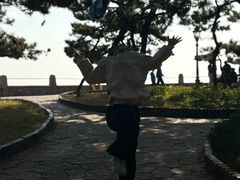 -八大关宾馆餐厅