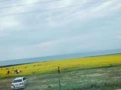 -青海湖国家重点风景名胜区