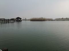 -苏州太湖湖滨国家湿地公园