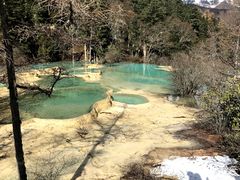 -黄龙山原始森林景区